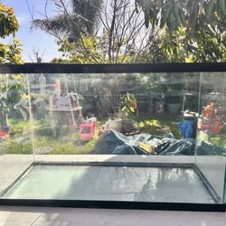 29 gallon fish tank/ fish tank