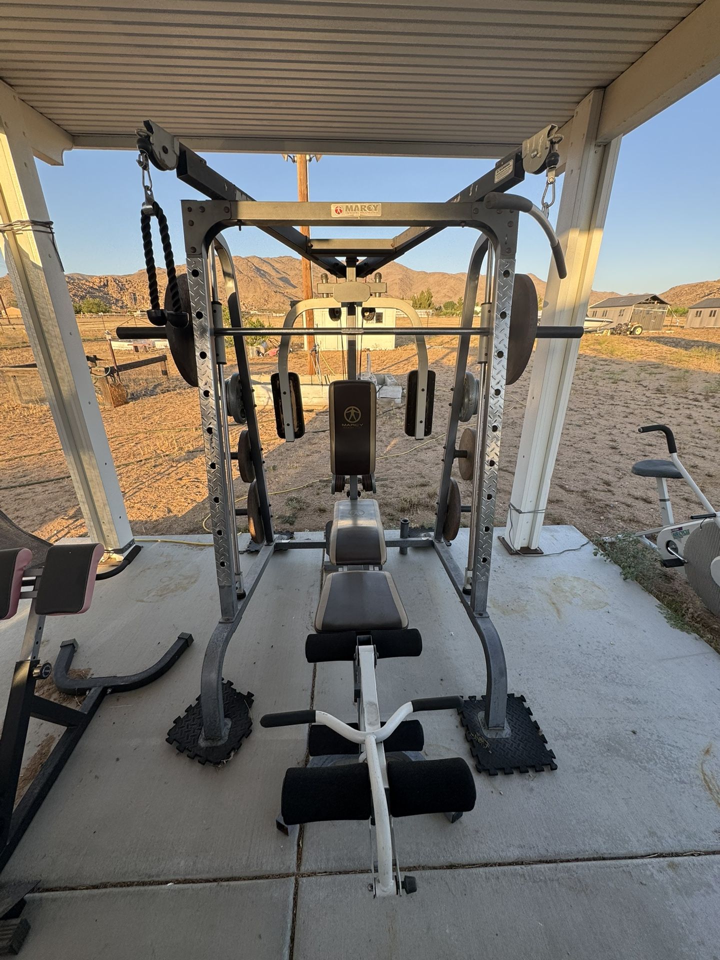 Smith Machine, Pullup Bar, Dip Machine And Back Extension Machine