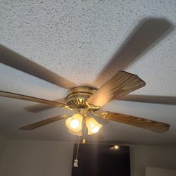 Ceiling Fan