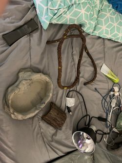 2 tanks a 20gal and a 10gal plus extras