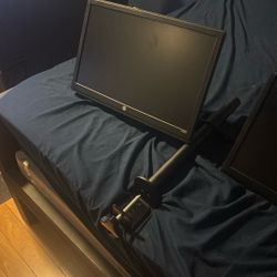 2 20 inch HP monitors With mount 