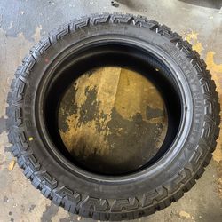 Fury country hunter. Rt