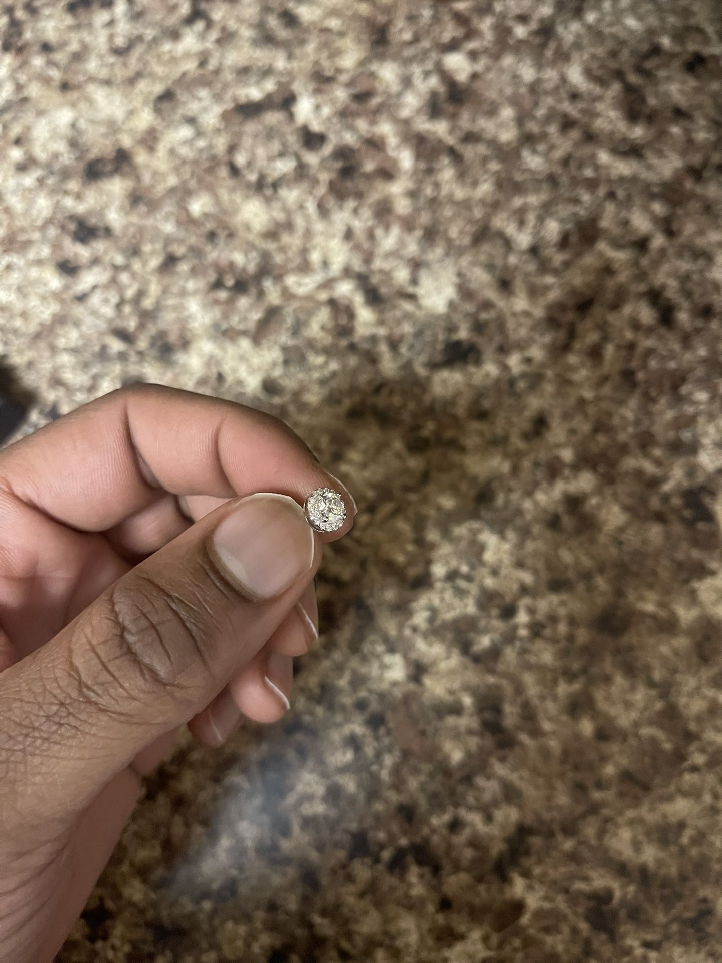 Delzzad Halo Stud Moissanite Earring Sterling