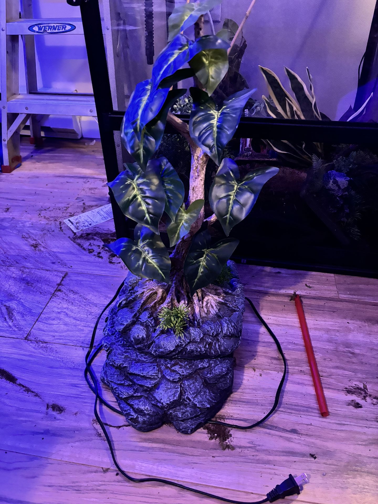 Fountain For Reptile Terrarium