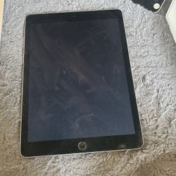 iPad 100