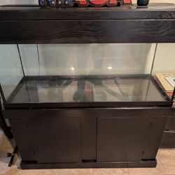 Fishtank 