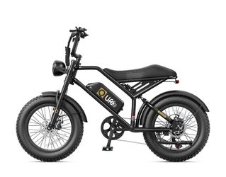 QLife 20” Fat Tire Electric Bike
