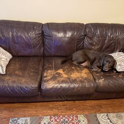 Leather Couch & Ottoman 