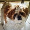 Lucy