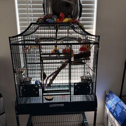 Bird cage