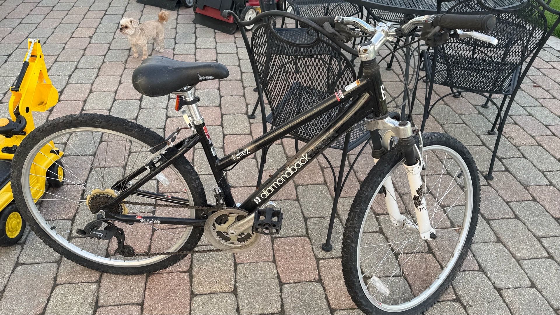 Diamondback
