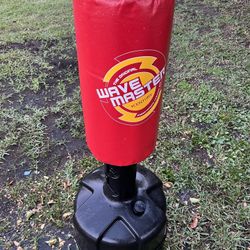 wave Master boxing training 