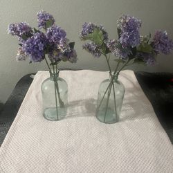 House Decor 