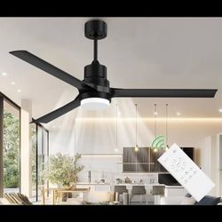 60 Inch Ceiling Fan with Remote, Indoor/Outdoor