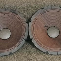 1990's Randall Jaguar 10" Speakers Looking To Trade For Guitar Or Pedal, May Sell. $100.00