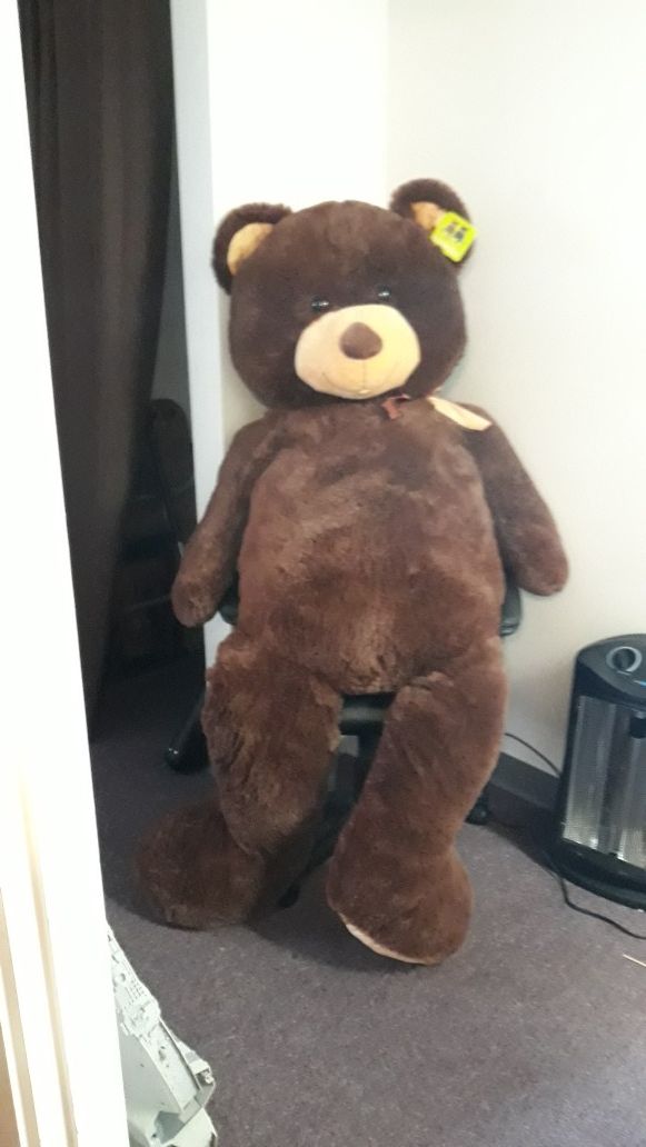 Really Big Teddy Bear needs Home.
