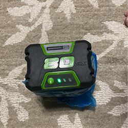 Green Works Battery 
