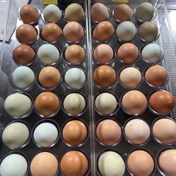 Farm Eggs