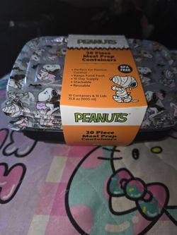 Peanuts Halloween food   containers