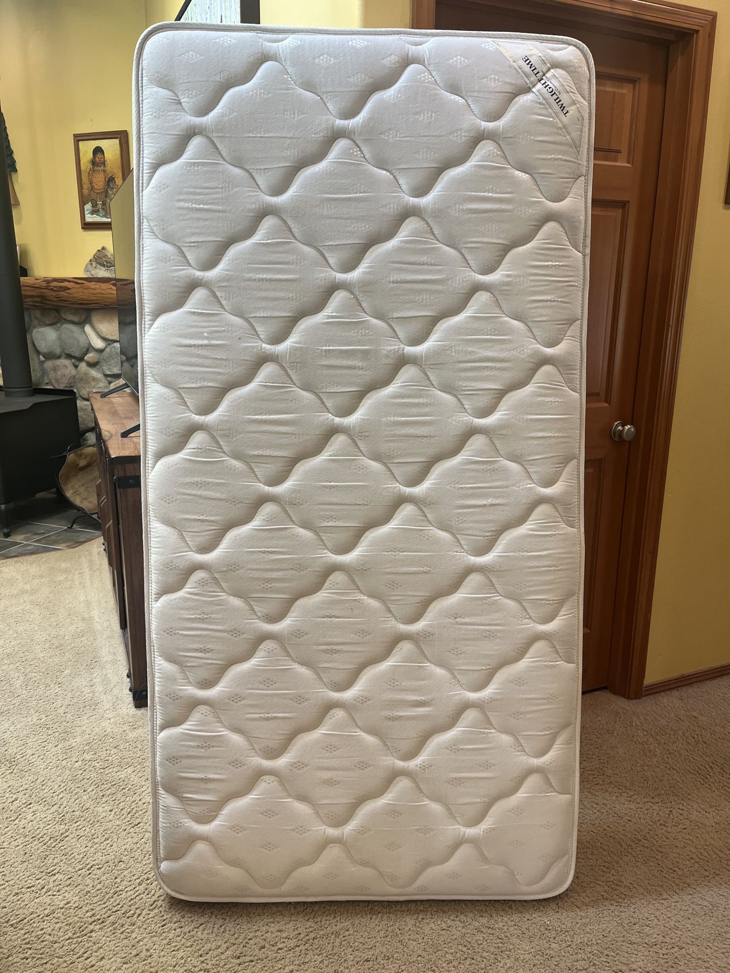 FREE Twin mattress