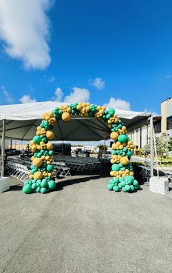 Balloon arch Grad Birthday Party Graduation 