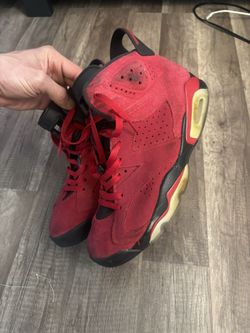 Toro Bravo Jordan 6s