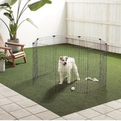 Dog Fence 