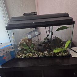 10 gallon fish tank