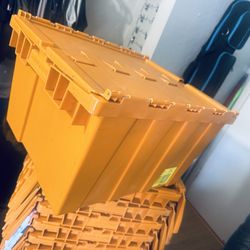 Storage Bins