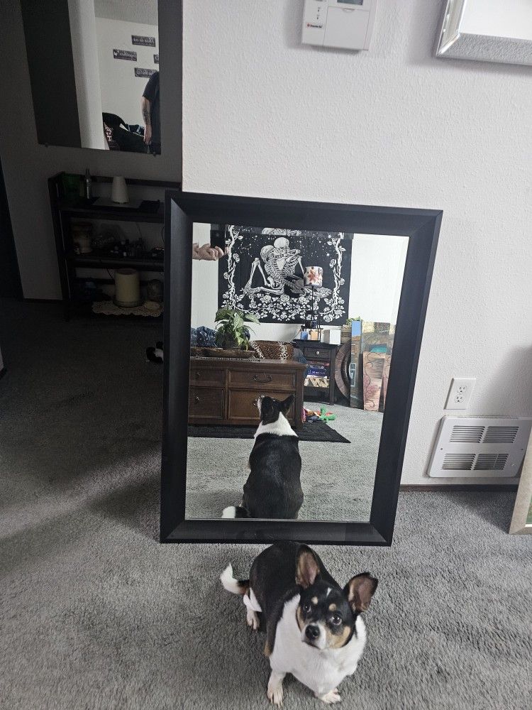 Mirror