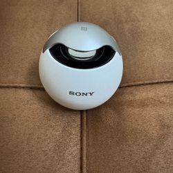Sony SRS-BTV5 Wireless Speaker