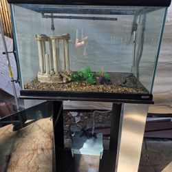 50 Gallon Aquarium 