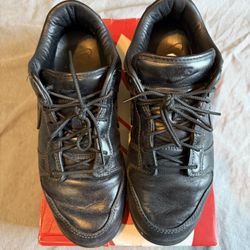 Nike dunk
