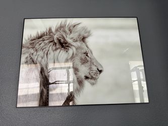 Wall art / wall decor