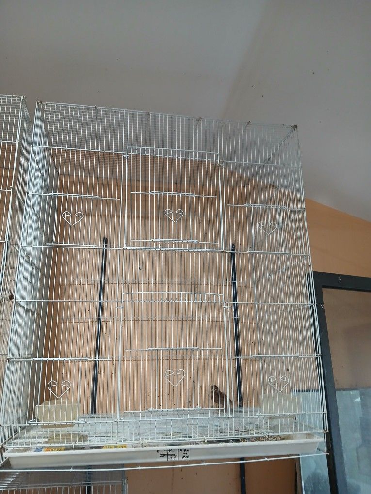 Large Bird Cage.