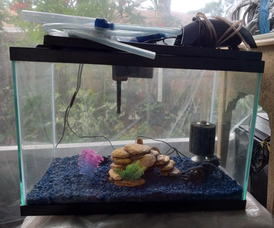 20 Gallon Aquarium