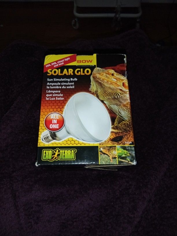 Solar Glo