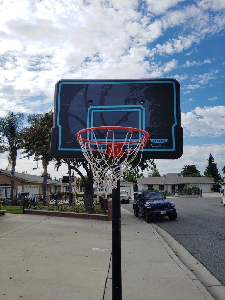 Lifetime Basketball Backboard. 