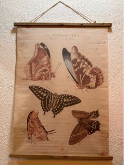 Room decor