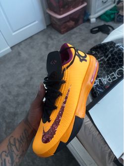 Kd 6 PB &J size 10.5