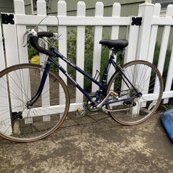 Step-Thru Bike (49cm - Seat Tube length)