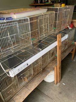 Bird cages