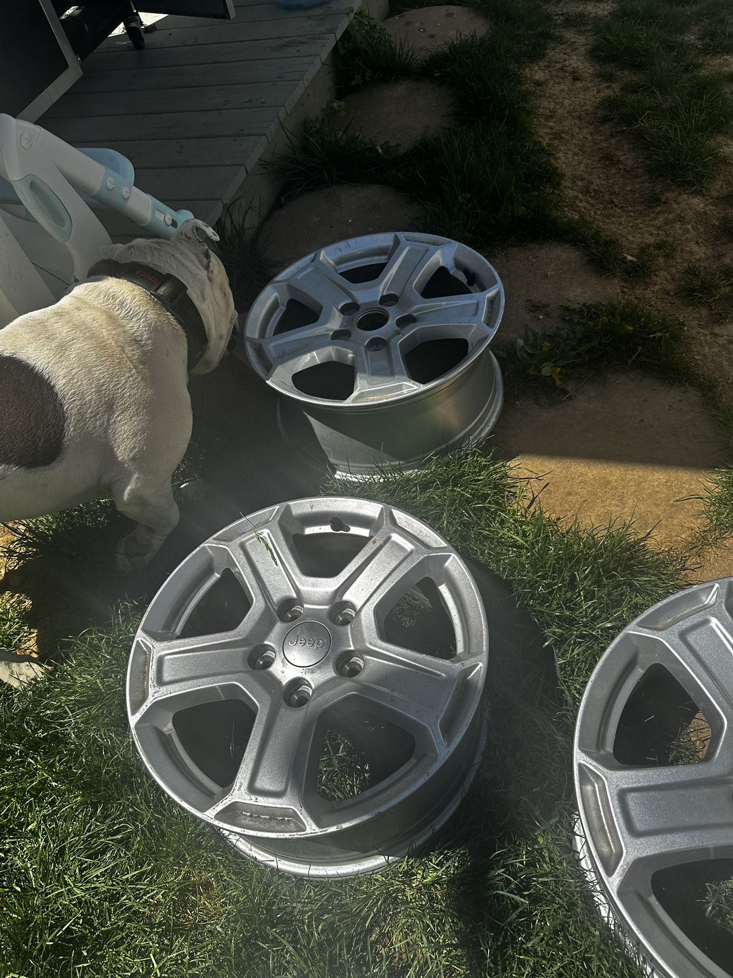 Jeep Rims And Tires