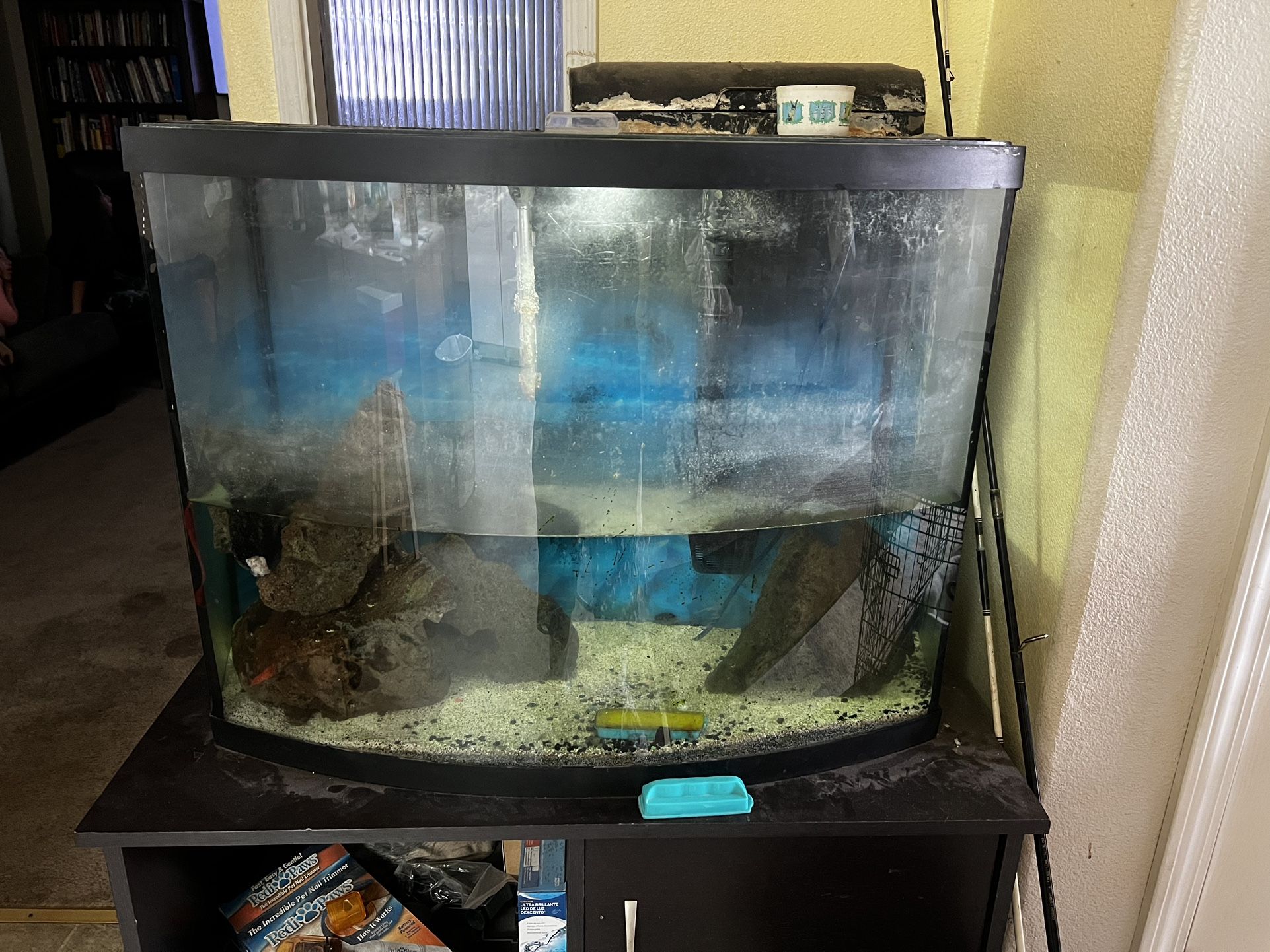 Fish Tank And Stand