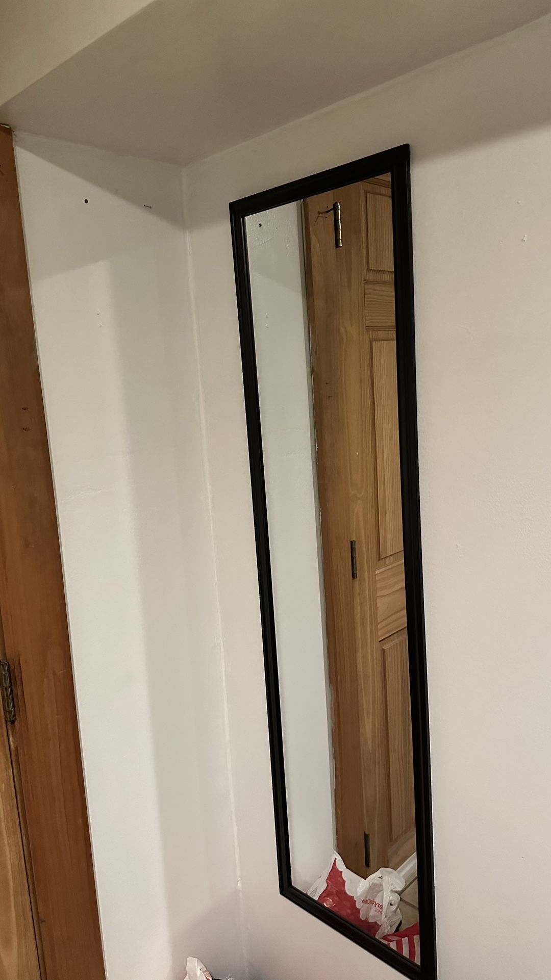 Black Framed Door Mirror