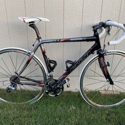 Fuji Professional 1.0 Road Bicycle
