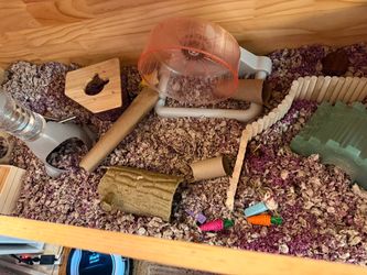 70 inch hamster cage with accessories included
