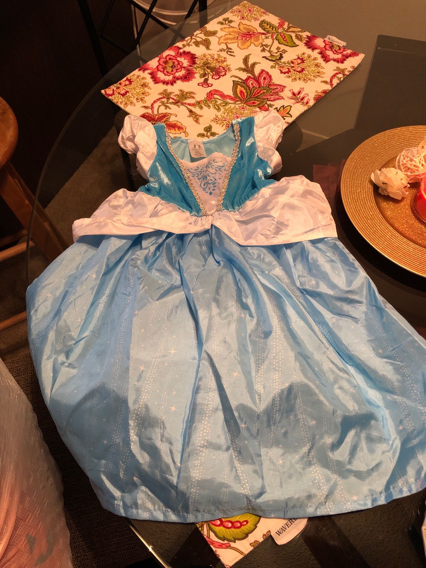 Cinderella costume dress