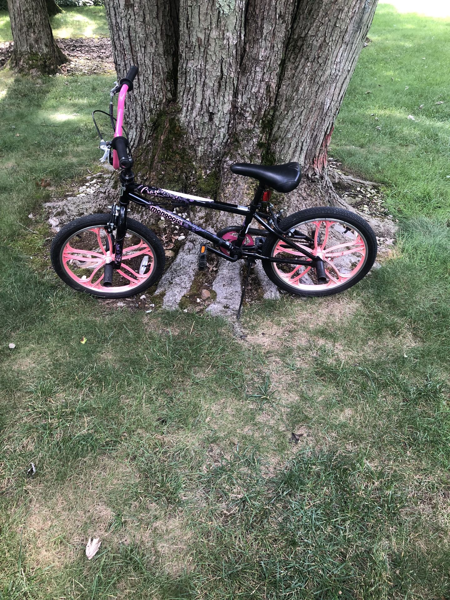 20” Bmx Bike
