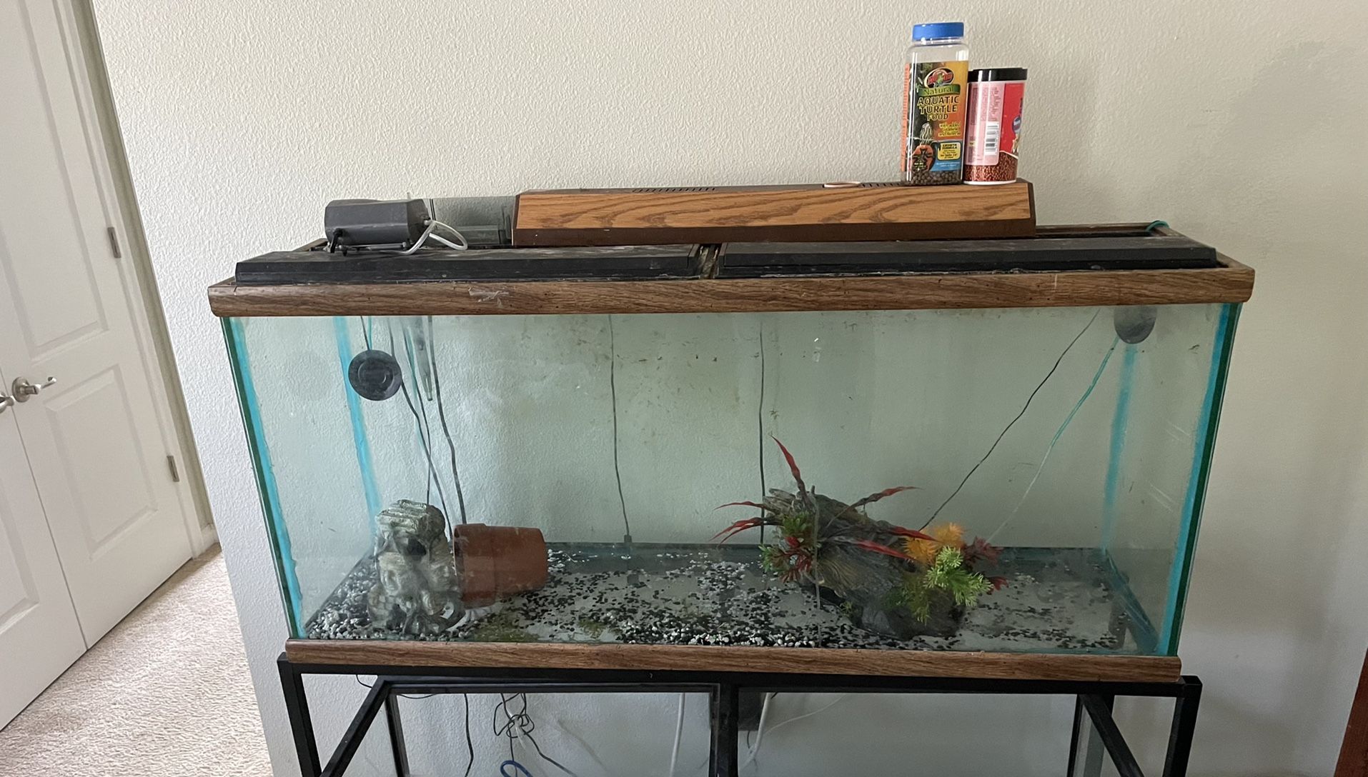55 Gallon Aquarium W/ Stand